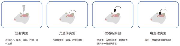 典型应用.png