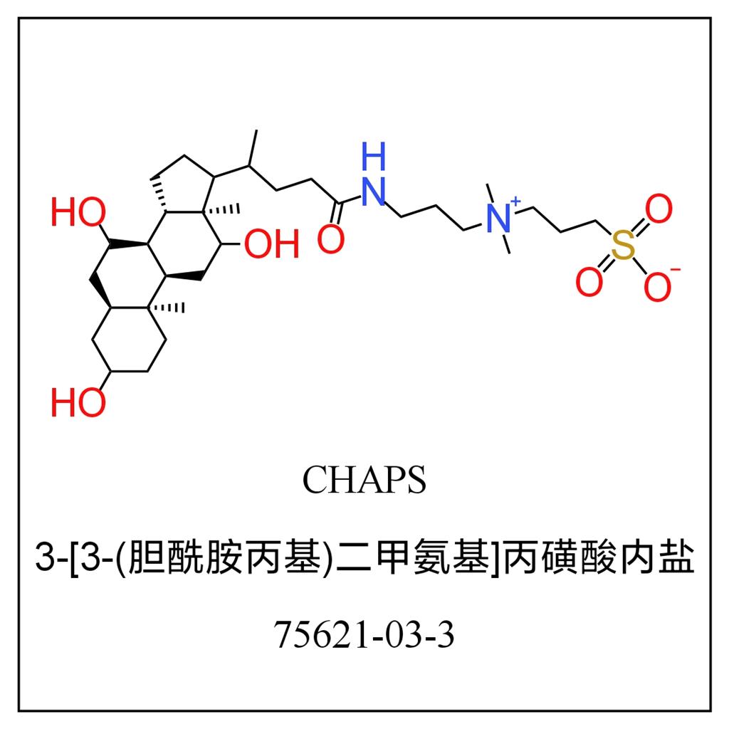 3-[3-(胆酰胺丙基)二甲基铵]-1-丙磺酸内盐(CHAPS)