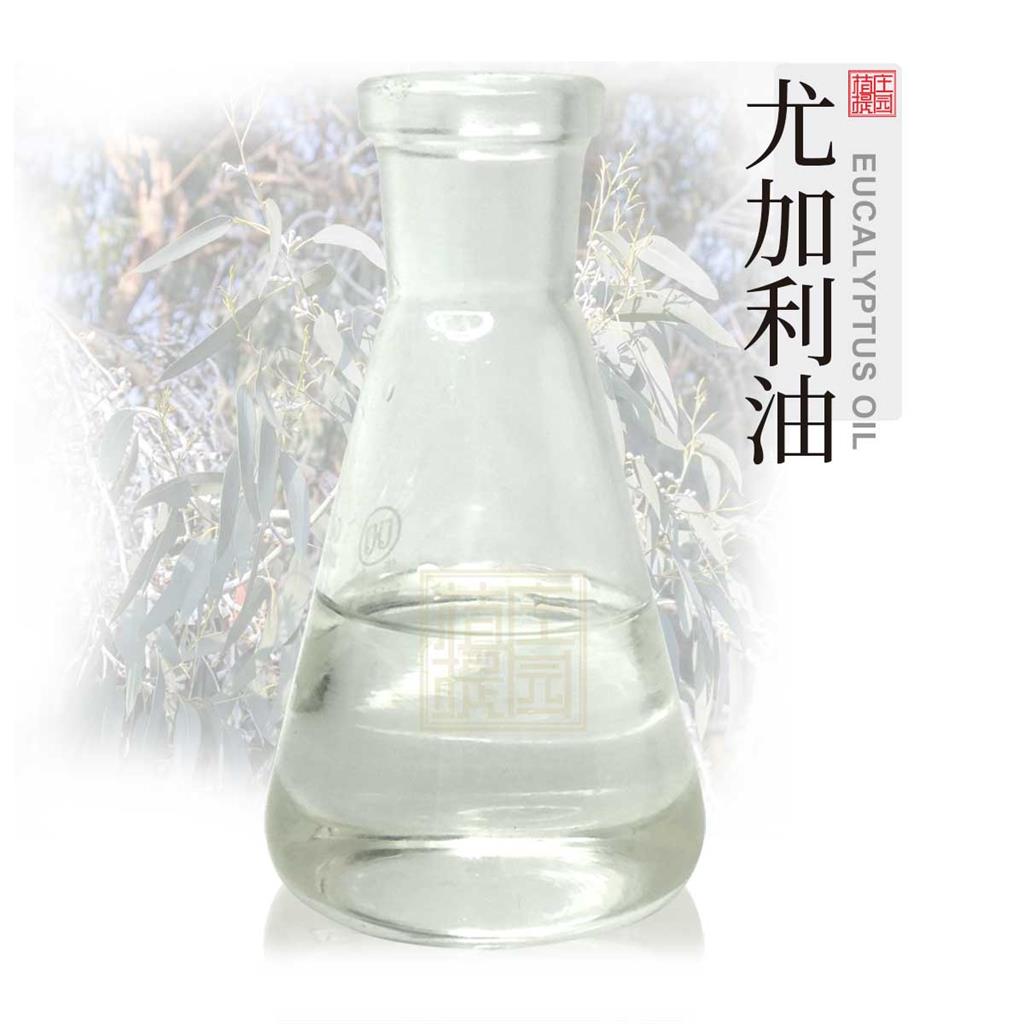 尤加利精油 植物提取单方精油