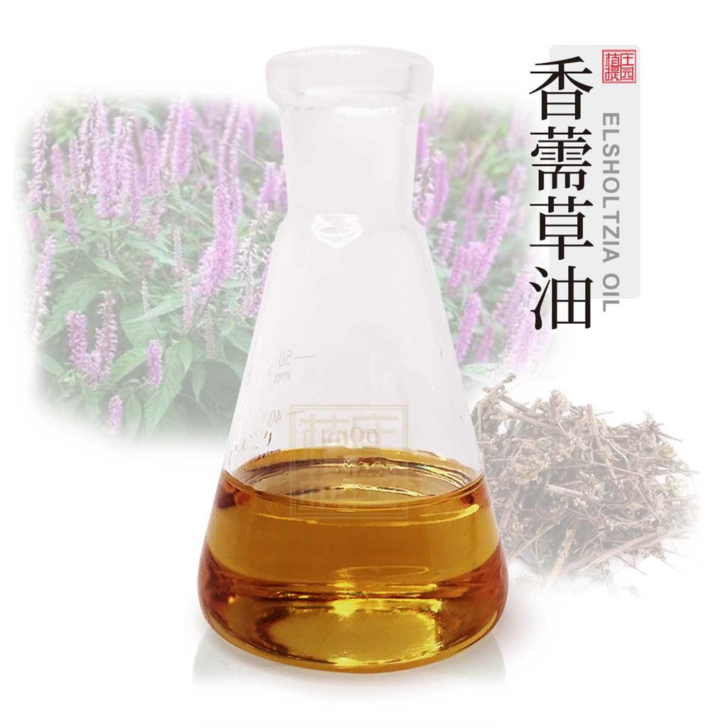 香薷草油 植物提取单方精油
