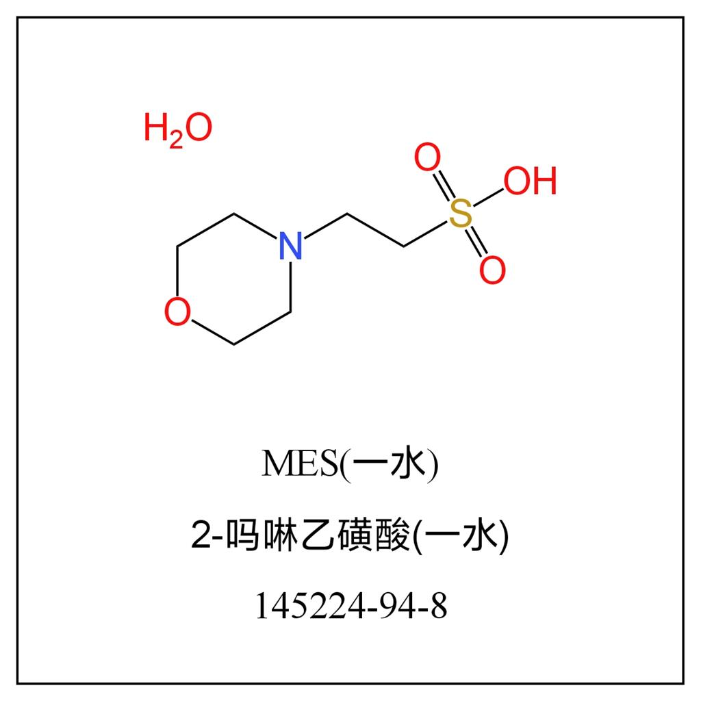 吗啉乙磺酸（一水） 145224-94-8