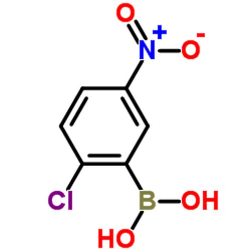2-氯-5-硝基苯硼酸,2-Chloro-5-nitrophenylboronic acid,(2-Chloro-5-nitrophenyl)boronic acid