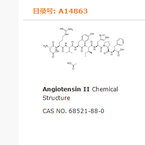 血管紧张素II|Angiotensin II