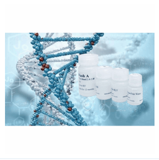 One-Stop miRNA Urea-PAGE Pack