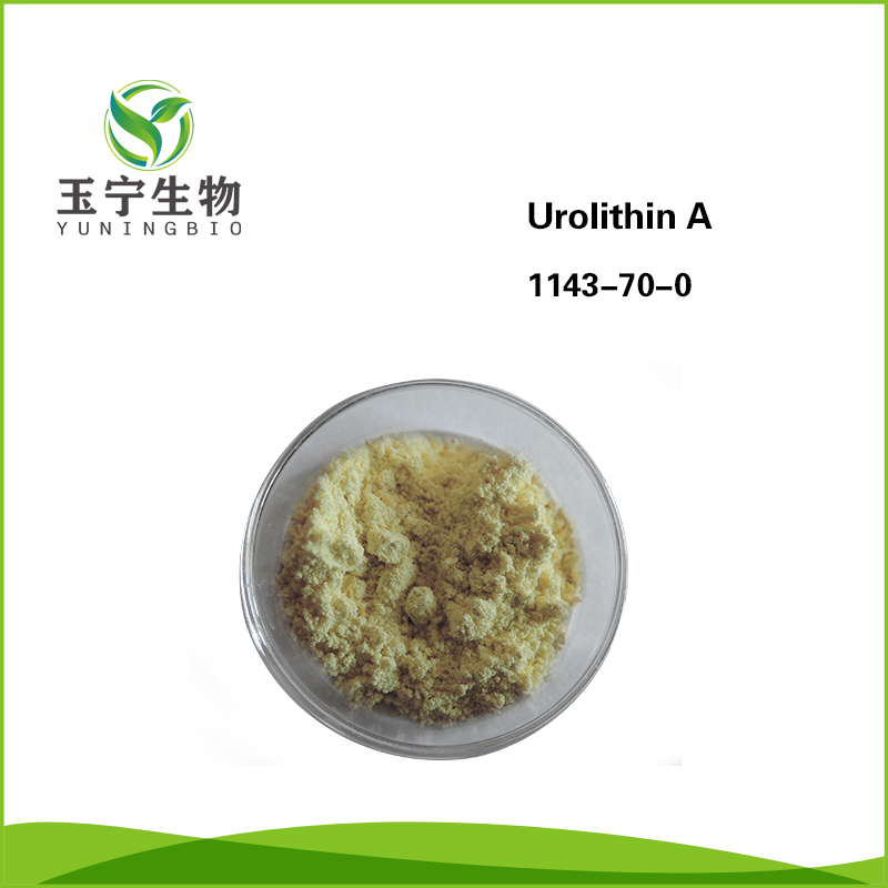 尿石素A 1143-70-0