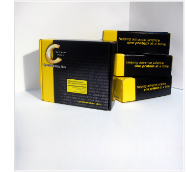 Acti-stain 488 鬼笔环肽