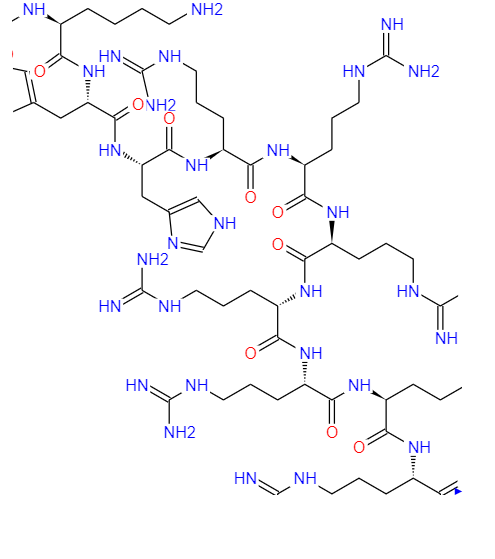 HXR9细胞渗透性多肽   917953-08-3