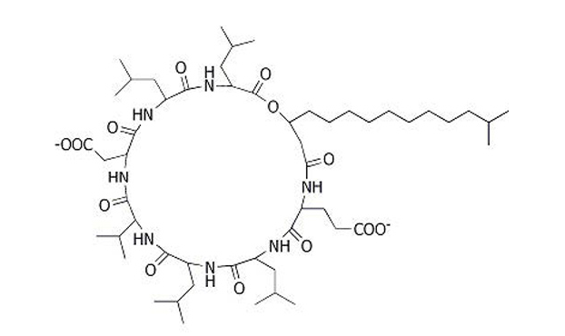 枯草菌脂肽钠     302933-83-1