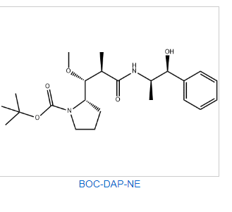 Boc-Dap-NE