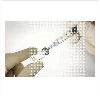 Anti-ETFB:电子转移黄素蛋白β肽/黄素蛋白抗体