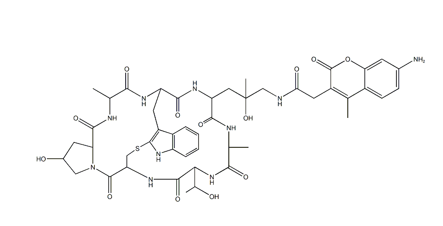 鬼笔环肽-AMCA标记