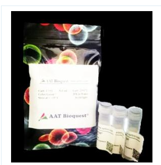 AMPLITE荧光法髓过氧化物酶检测试剂盒?*红色荧光*