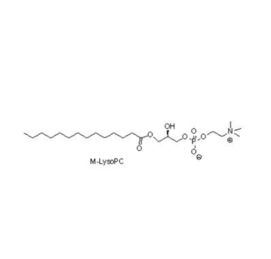 M-LysoPC