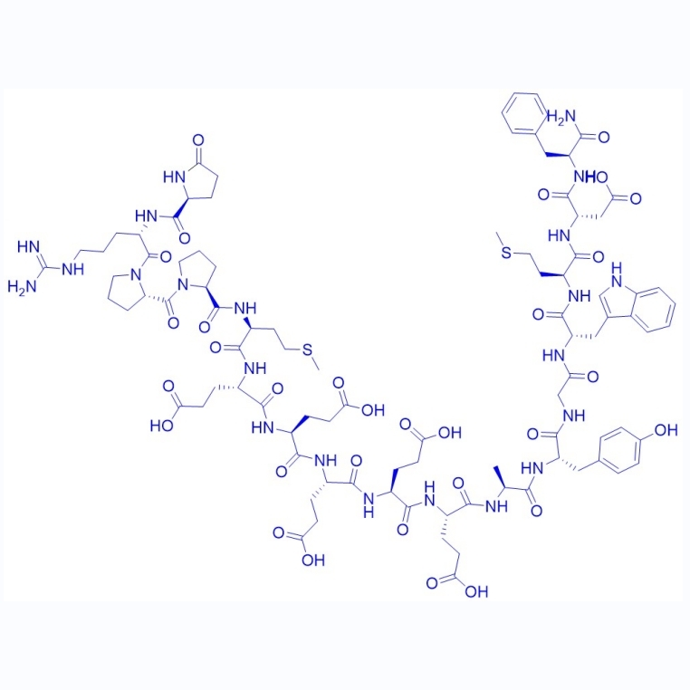 鼠源促胃泌素释放肽-1/81123-06-0/Gastrin-1, rat