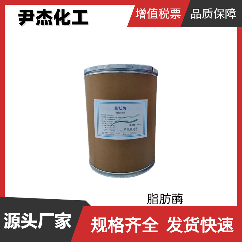 脂肪酶100000μ/g  十万活力 工业级 国标99% 催化剂 规格齐全