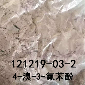 121219-03-2 4-溴-3-氟苯酚  黄金产品 工艺成熟 质量稳定