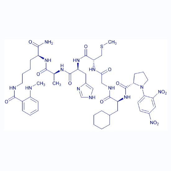 基质金属蛋白酶-1(MMP-1)/MMP-9荧光底物多肽/150956-92-6/MMP-1/MMP-9 Substrate, Fluorogenic