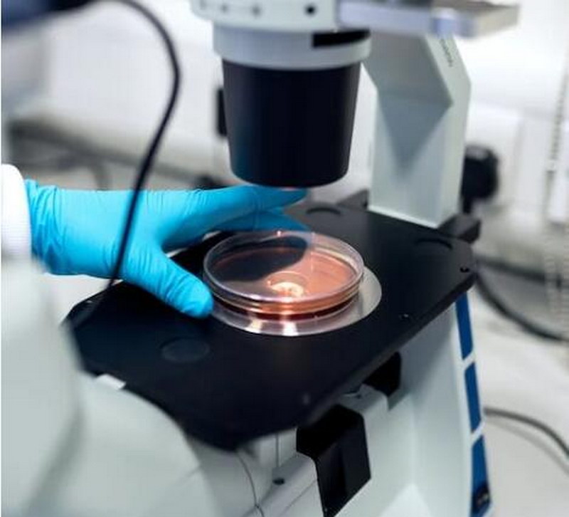 阿帕他胺杂质15, , 杂质、对照品 