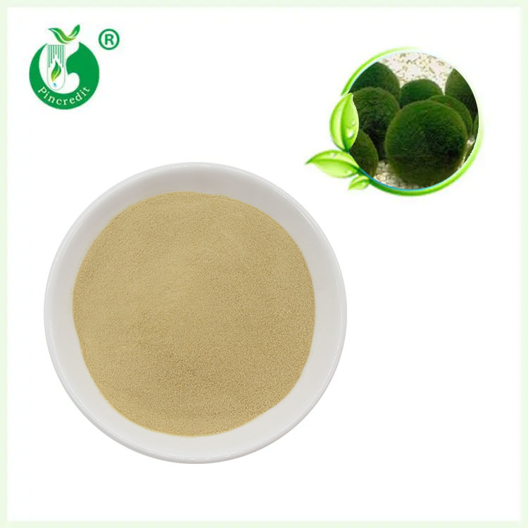 小球藻生长因子 绿藻生长因子 绿藻精 CGF OD1200 小球藻提取物