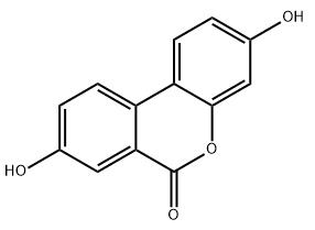 1710301272008.jpg 1710301272008.jpg
