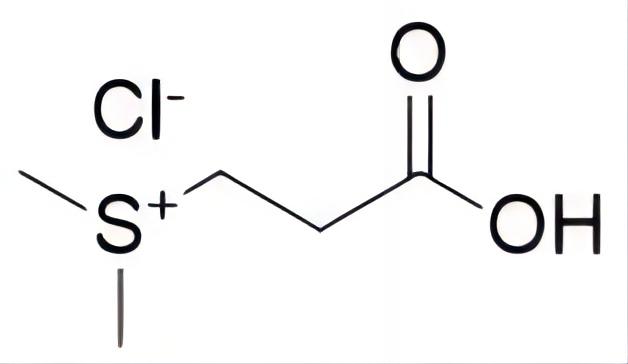 二甲基-Β-丙酸噻亭，DMPT