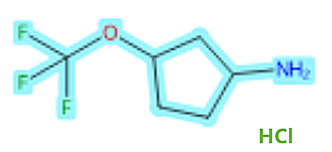 3-(trifluoromethoxy)-Cyclopentanamine hydrochloride