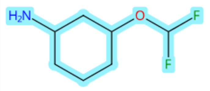 3-(difluoromethoxy)cyclohexan-1-amine