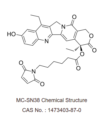 MC-SN38 是一种由有效的微管破坏剂