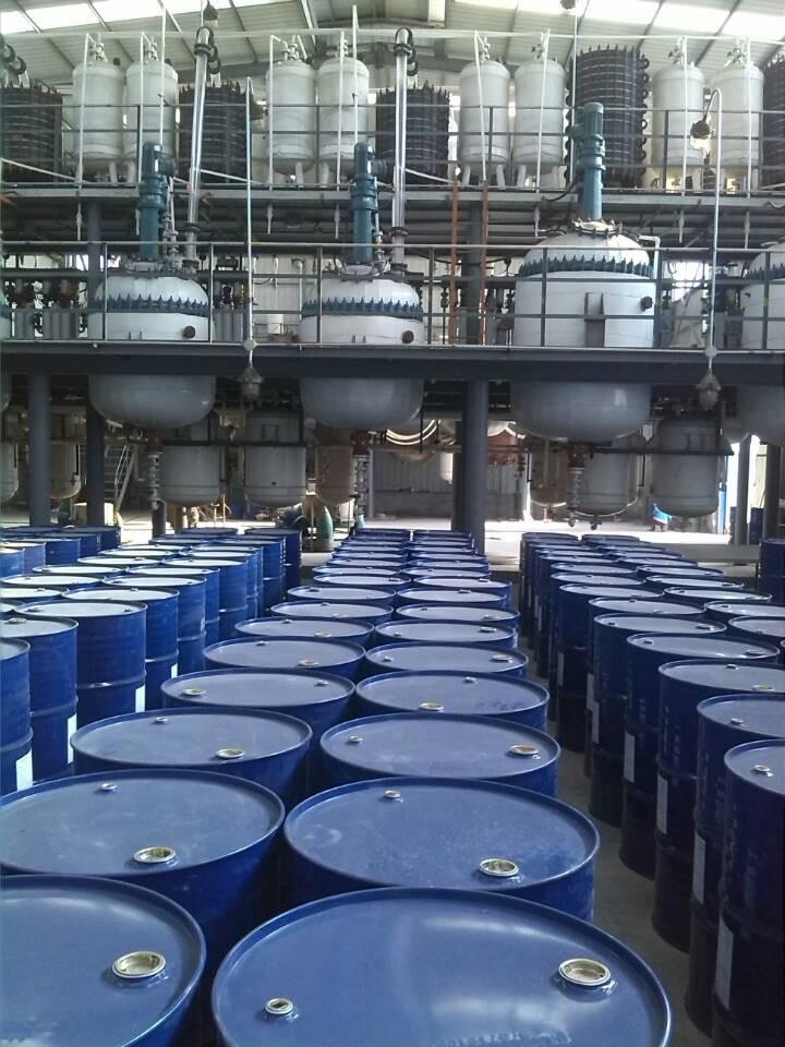 b (19).jpg b (19).jpg