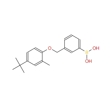 3-[(4′-叔丁基-2′-甲基苯氧基)甲基]苯硼酸 1072951-66-6