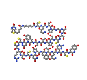 芋螺毒素Biotin-Ahx-ω-Conotoxin GVIA 151928-23-3