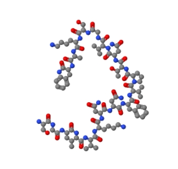 人源降钙素基因相关肽19-37 101233-12-9