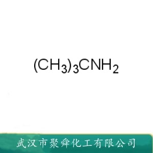 叔丁胺 75-64-9 橡胶促进剂 染料着色剂