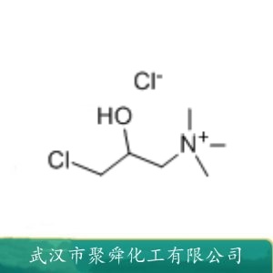 3-氯-2-羟丙基三甲基氯化铵 3327-22-8 纺织印染助剂 抗静电剂