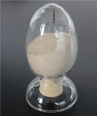 2,4-二氯-5-甲氧基苯胺；98446-49-2