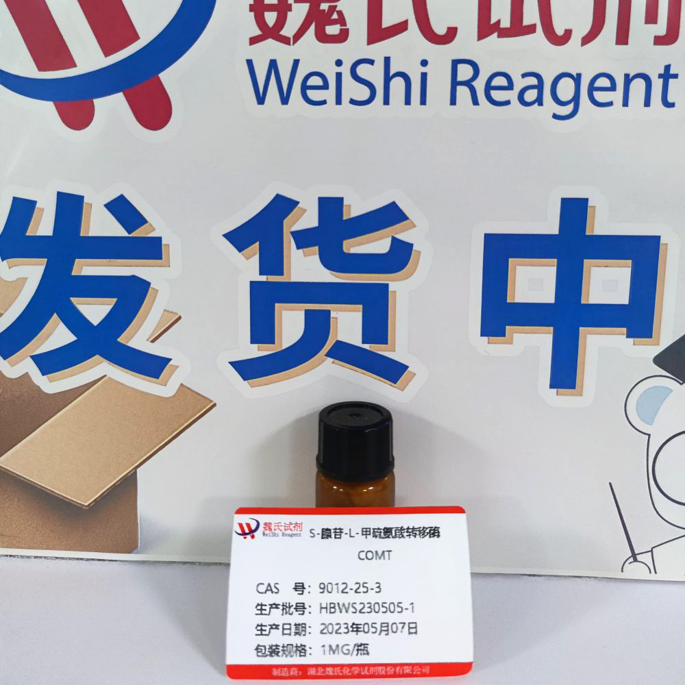 S-腺苷-L-甲硫氨酸转移酶 9012-25-3