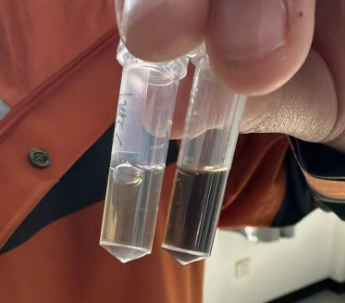 乙酰胆碱酯酶（苍蝇头） 9000-81-1