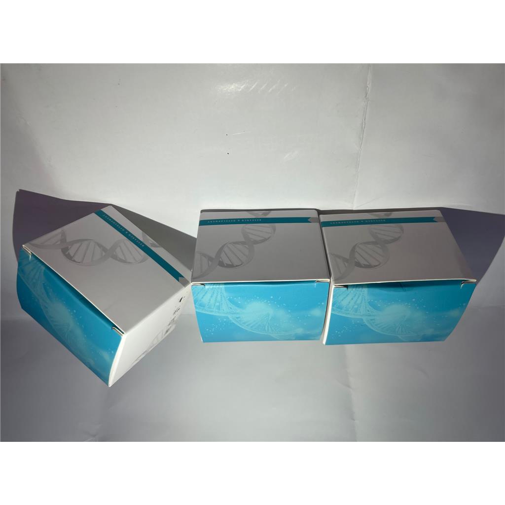 BAR基因核酸检测试剂盒（恒温荧光法）