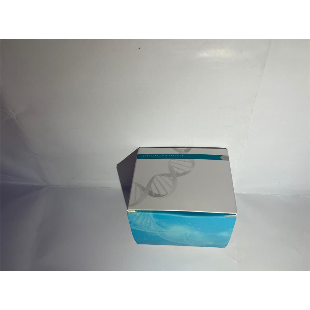 CP4-EPSPS基因核酸检测试剂盒（恒温荧光法）