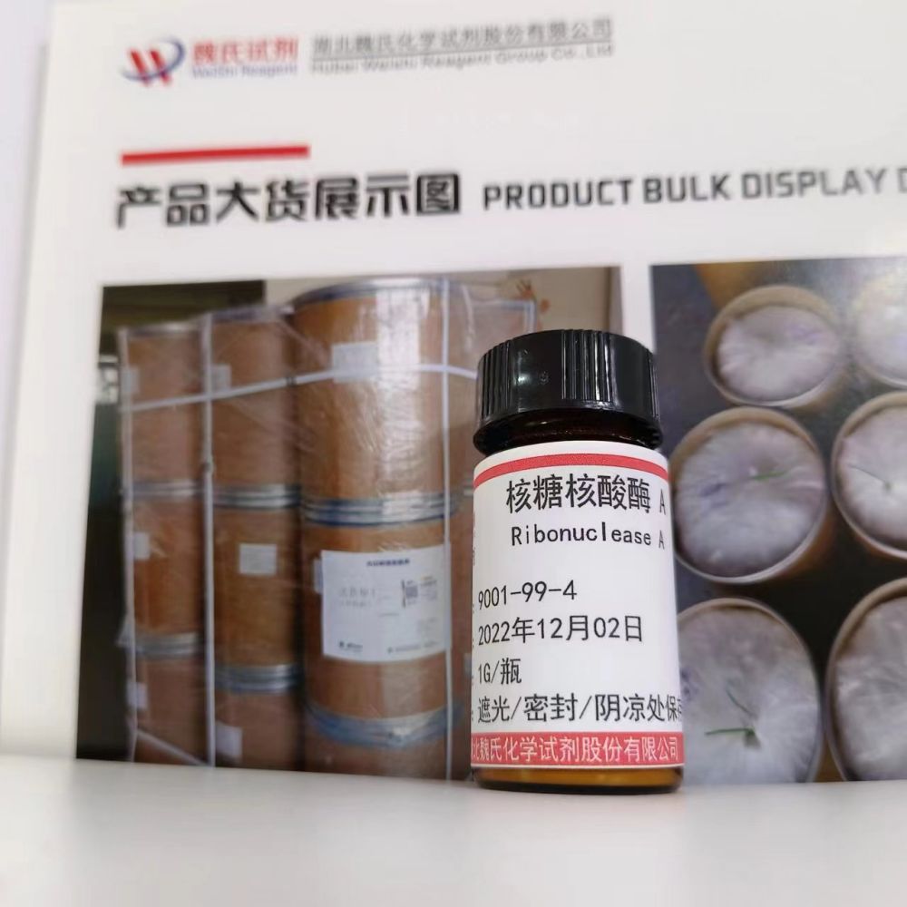 核糖核酸酶A优质现货；下单当天发货