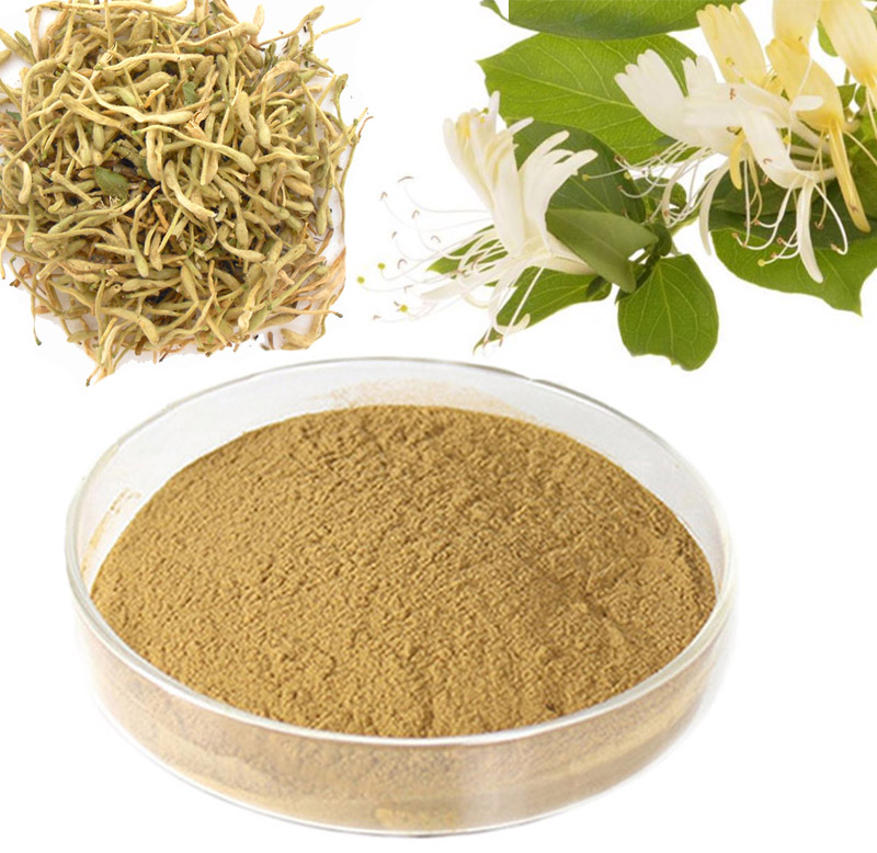 金银花绿原酸，大货金银花绿原酸全规格5%，25%,50%,98%