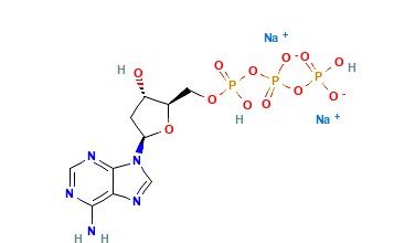 aladdin 阿拉丁 A112854 三磷酸脱氧腺苷钠盐（dATP） 74299-50-6 98%