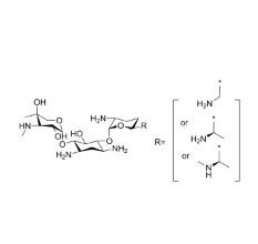 aladdin 阿拉丁 G302822 庆大霉素 1403-66-3 ≥900IU/mg (Microbiological assay of antibiotics, Dried Basis)