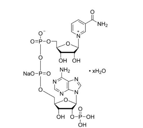 aladdin 阿拉丁 T140491 三磷酸吡啶核苷酸 钠盐 水合物 698999-85-8 ≥98% (HPLC)