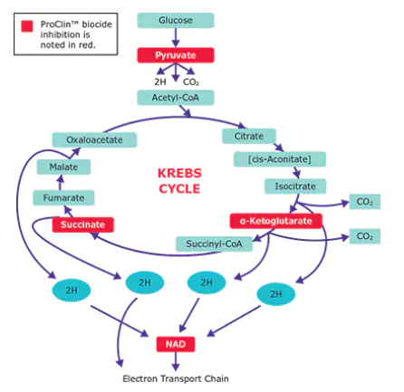 aladdin 阿拉丁 P406415 ProClin?200 防腐剂