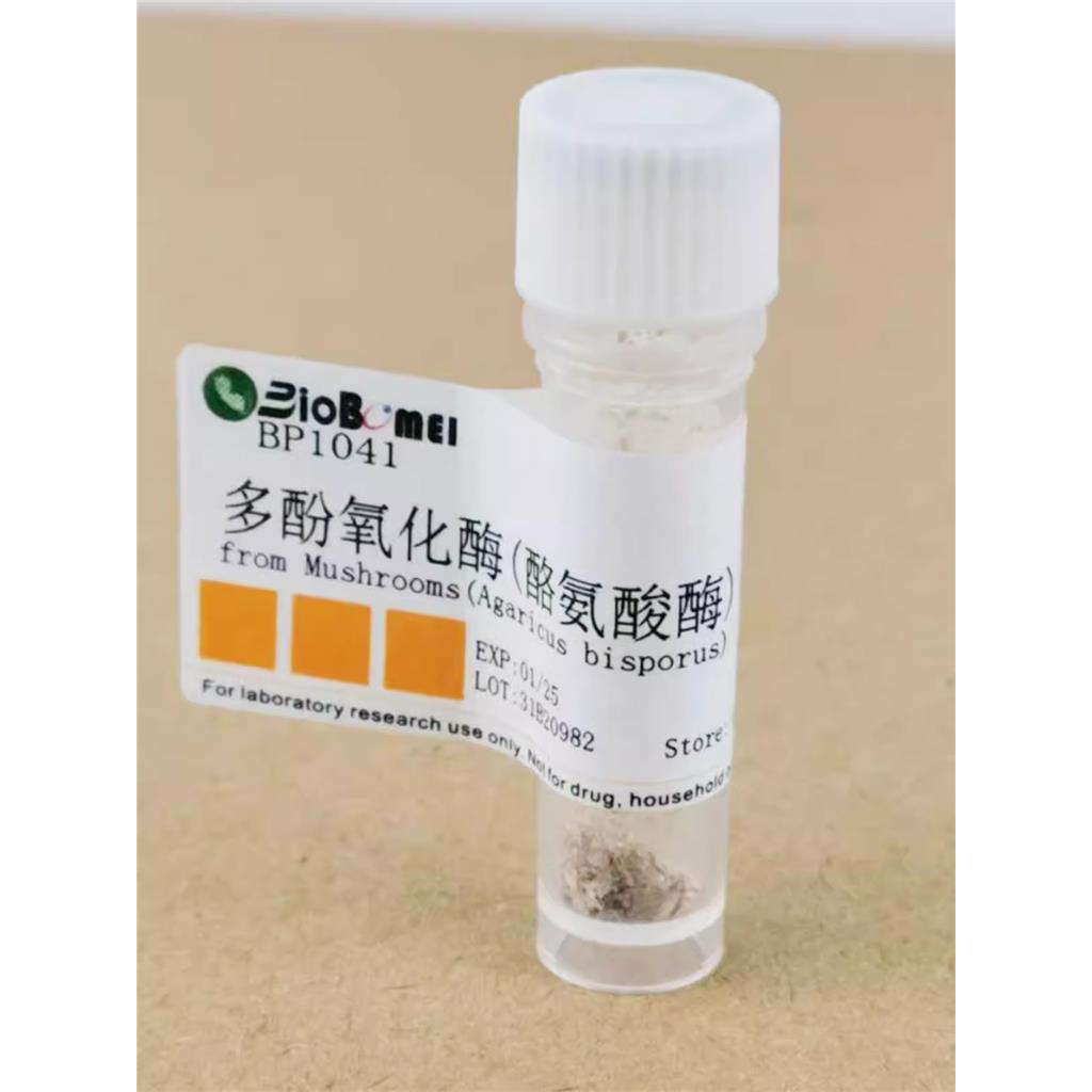 多酚氧化酶；酪氨酸酶