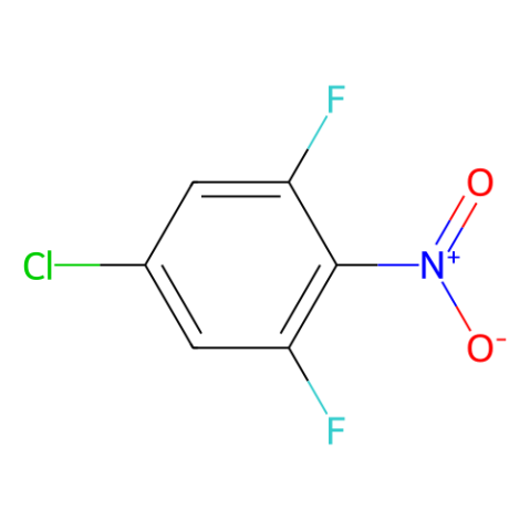 aladdin 阿拉丁 C578627 5-氯-1,3-二氟-2-硝基苯 136272-31-6 97%