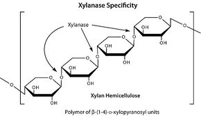 aladdin 阿拉丁 H304918 半纤维素酶 来源于黑曲霉 9025-56-3 ≥5unit/mg solid
