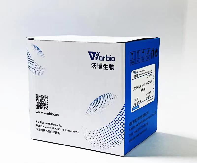 CRISPR Cas12/13 HybriDetect试纸条