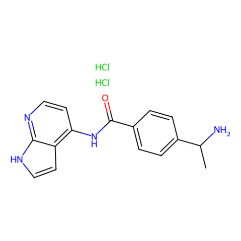 aladdin 阿拉丁 Y409081 Y-39983 HCl 173897-44-4 10mM in DMSO